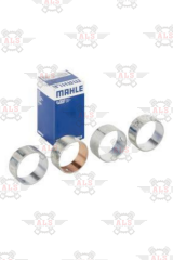 EKSANTRİK YATAK STD OM344 352 353 366 2517 2521 2524