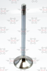 EKSOZ SİBOBU AD. X12 (3 TIRNAK)