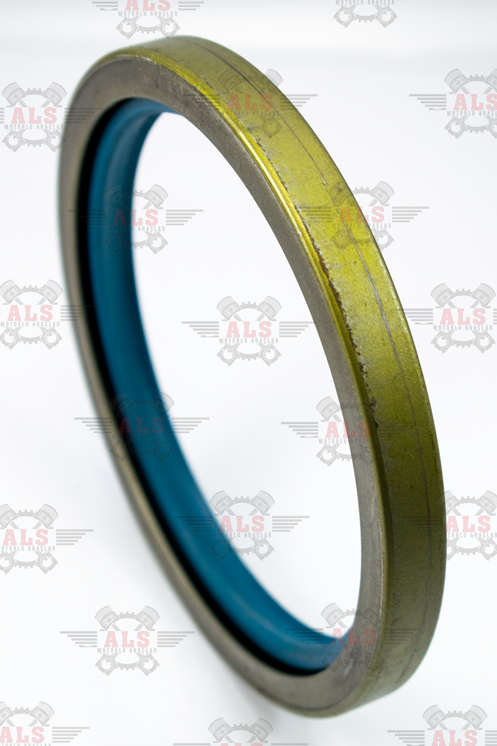 DORSE TEKER KEÇESİ